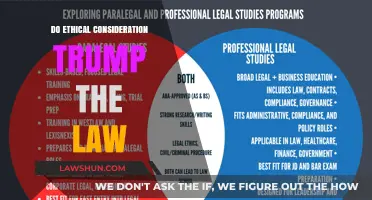 Moral Dilemmas vs. Legal Mandates: When Ethics and Law Clash