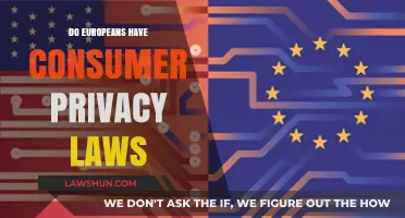 Exploring Consumer Privacy Protections in the European Union