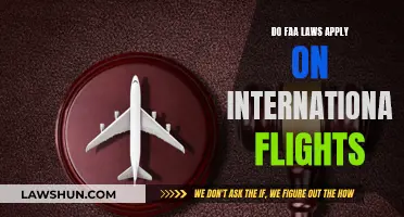 FAA Laws: International Flights and Their Legal Complexities