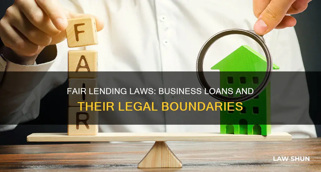 do fair lending laws apply to business loans