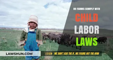 Child Labor Laws on Farms: Compliance Challenges and Solutions