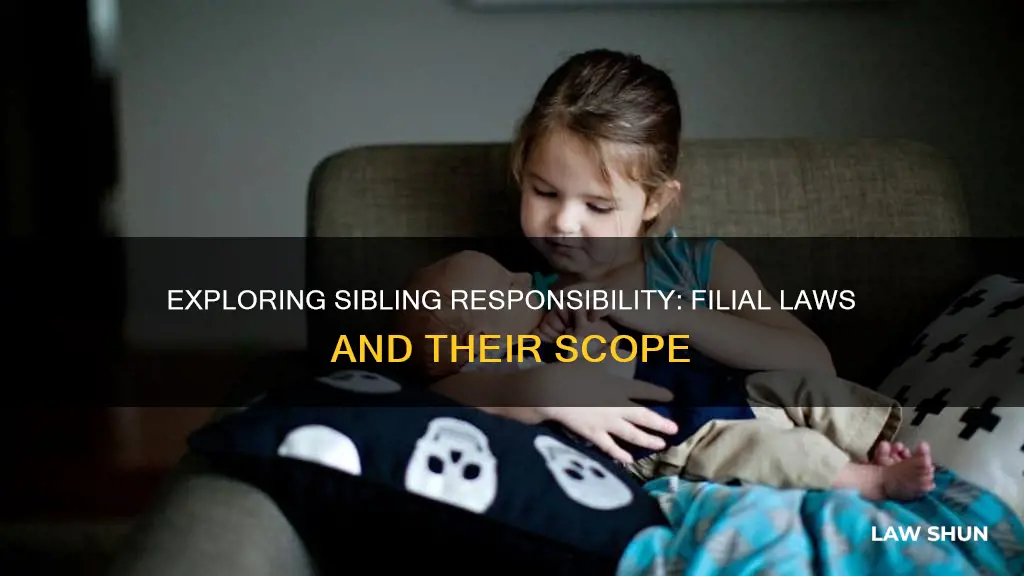 do filial responsibility laws apply to siblings