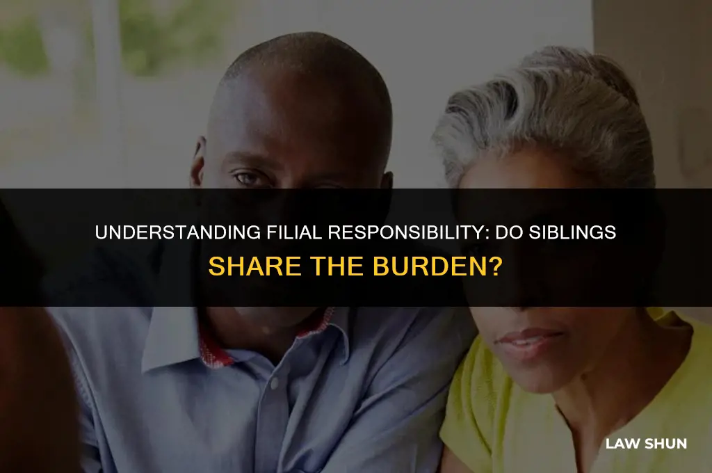 do filial responsibility laws cover siblings