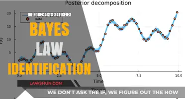 Exploring Bayesian Identification in Forecasting Models: A Comprehensive Analysis