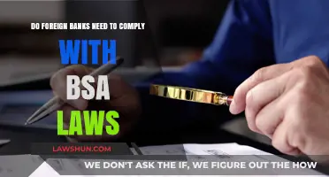 Foreign Banks and BSA Compliance: Legal Obligations Explained