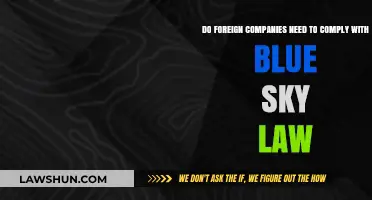 Blue Sky Law Compliance: Essential for Foreign Companies in the U.S.?