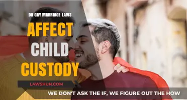 Gay Marriage Laws and Child Custody: Legal Impacts Explored