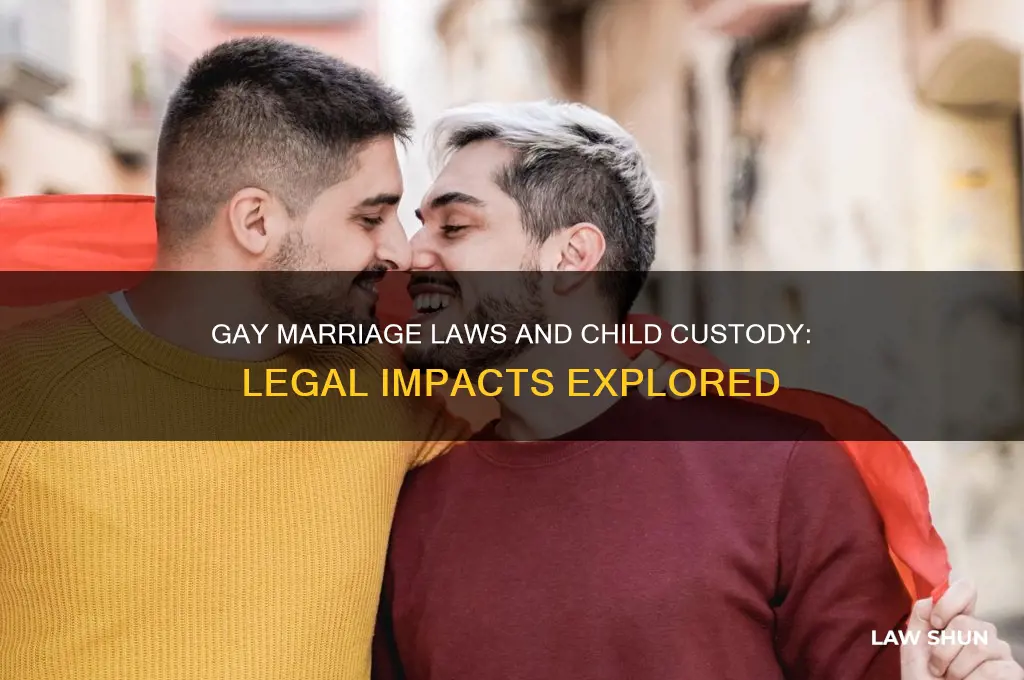 do gay marriage laws affect child custody