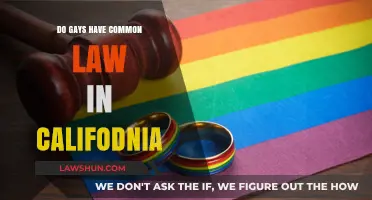Gay Common Law in California: What's the Verdict?