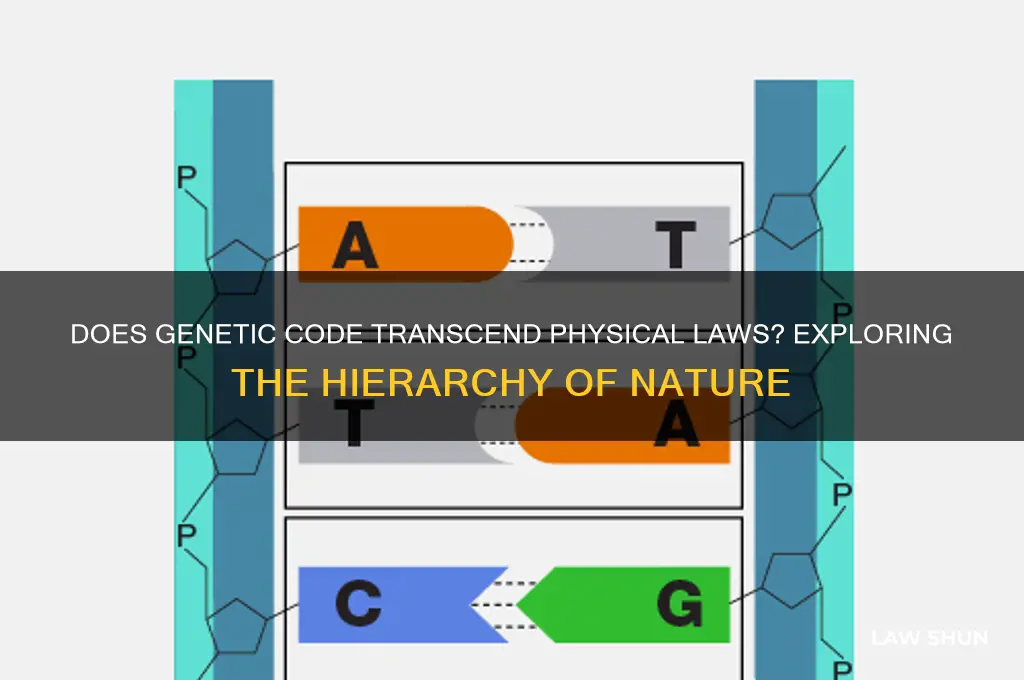 do genetic code obey laws higher than physical laws