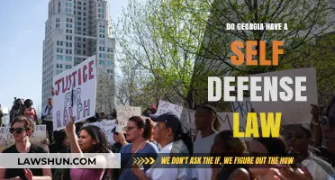 Georgia's Self-Defense Law: Understanding Your Rights and Protections