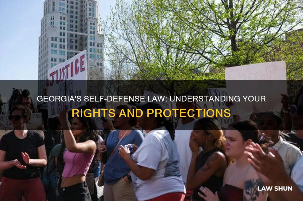 do georgia have a self defense law