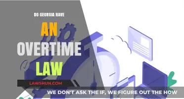 Georgia Overtime Laws: Understanding Employee Rights and Employer Obligations