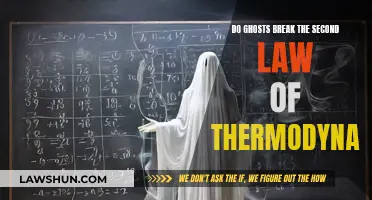 Ghosts and the Second Law of Thermodynamics: Compatible?