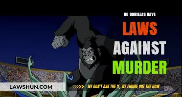 Exploring Primate Justice: Do Gorillas Outlaw Murder?