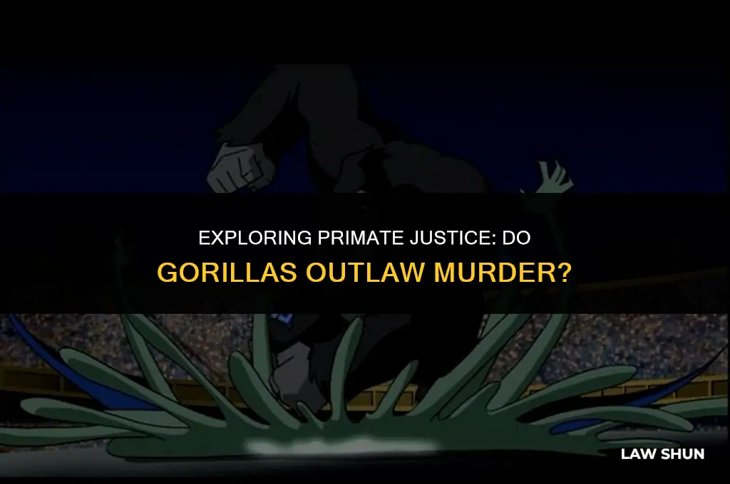 do gorillas have laws against murder