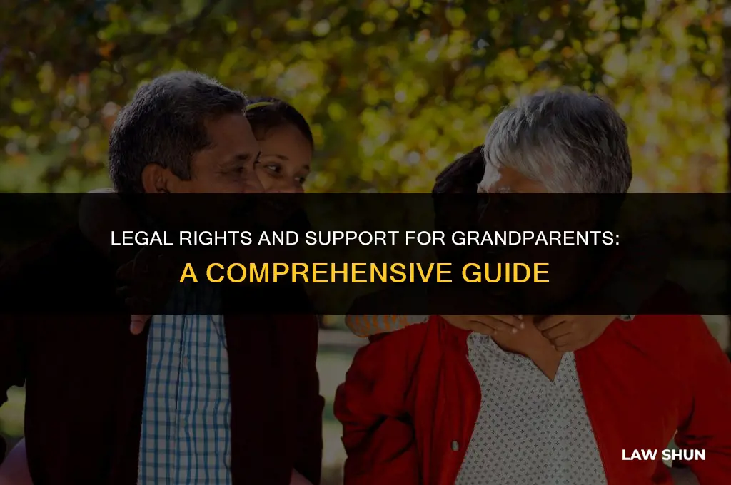 do grandparents by law have support