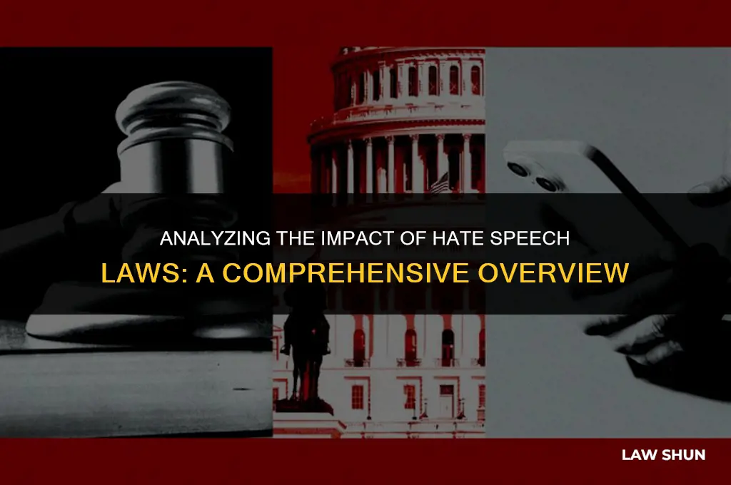 do hate speech laws do anything