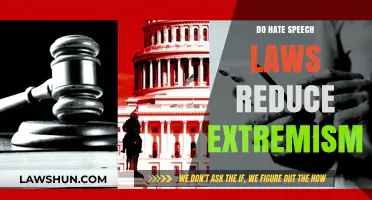 Examining the Impact of Hate Speech Laws on Extremism Reduction