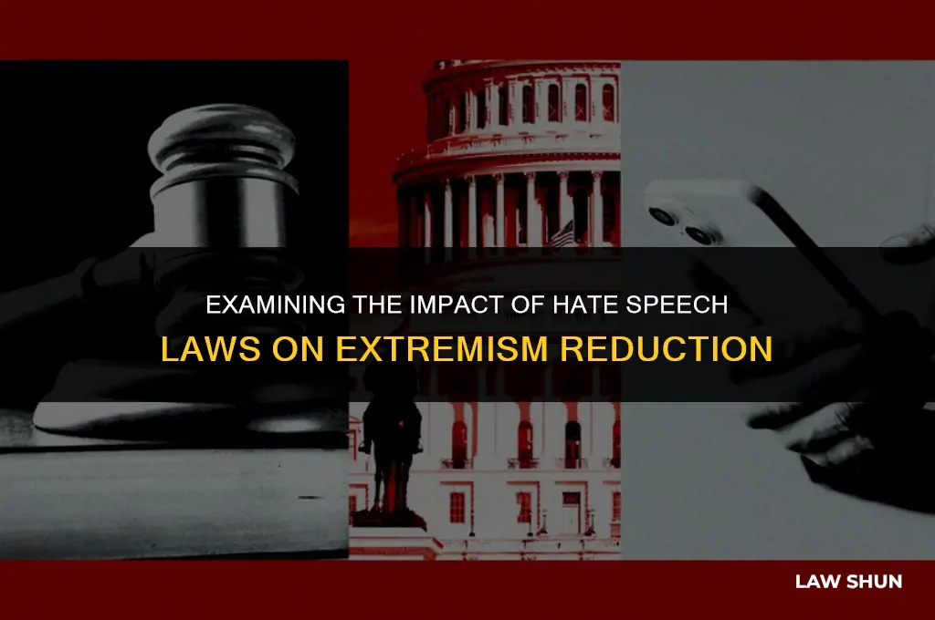 do hate speech laws reduce extremism
