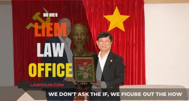 Do Hieu Liem Law Office: Expert Legal Services and Client Success Stories