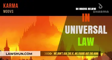 Karma and Dharma: Universal Laws in Hinduism