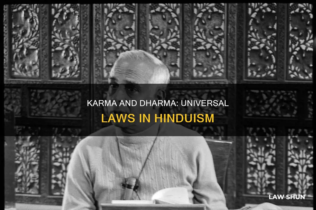 do hindus believe in universal law