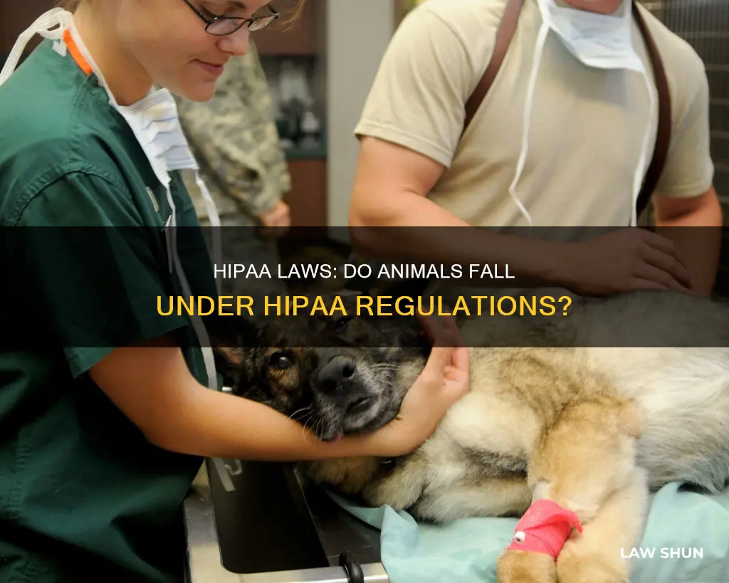 do hipaa laws apply to animals