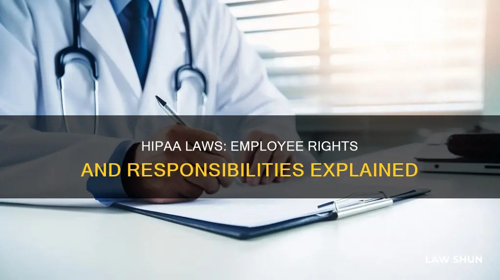 do hipaa laws apply to employees