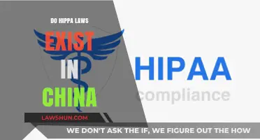 Exploring HIPAA's Global Reach: Do Similar Laws Exist in China?