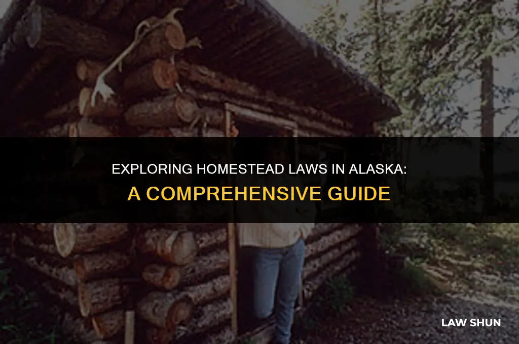 do homestead laws exist in alaska