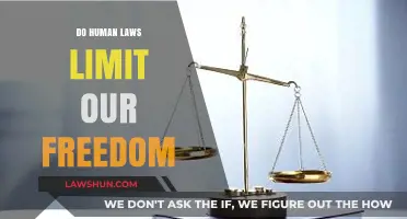Exploring the Balance: Human Laws and Personal Freedom