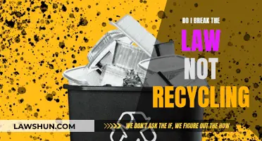 Recycling and the Law: My Civic Duty?