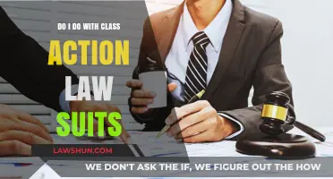 Understanding Class Action Lawsuits: Your Rights, Role, and Next Steps