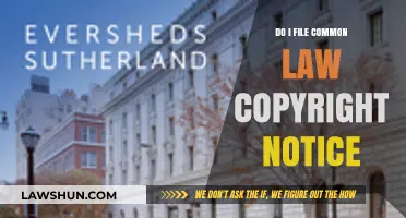 Copyright Notice: What, Why, and How to File