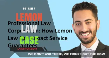 Lemon Law: Do You Have a Case?