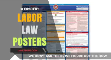 Do I Need Labor Law Posters for My Business?
