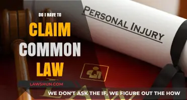 Understanding Common Law Claims: Do You Need to File?
