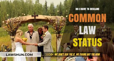 Understanding Common-Law Status: What You Need to Declare