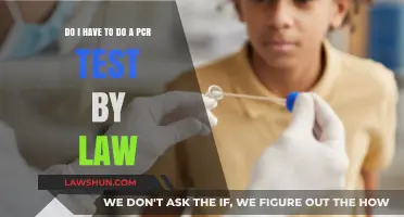 Legal Requirements for PCR Testing: What You Need to Know
