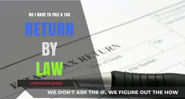 Filing Taxes: Are You Legally Required to Do So?