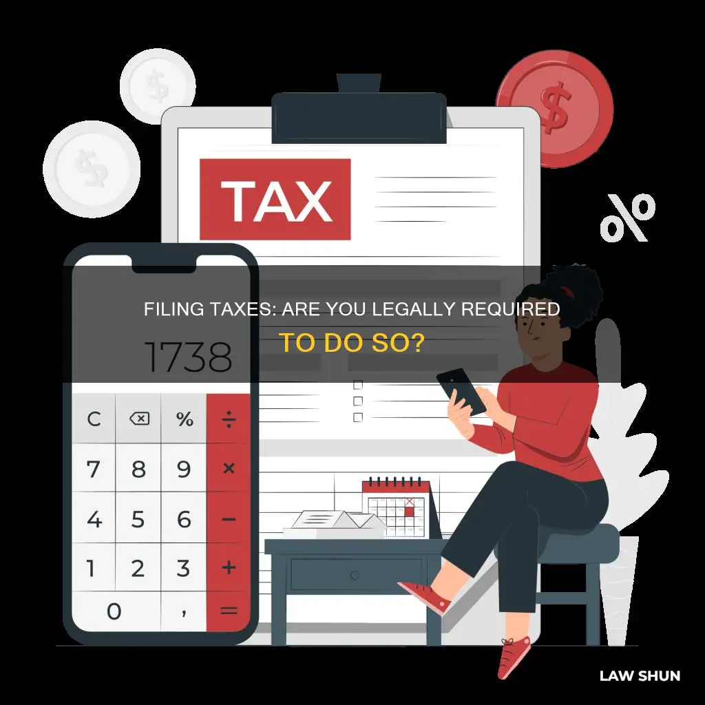 do i have to file a tax return by law