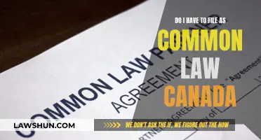 Common-Law Relationships: Do You Need to File Taxes Jointly?