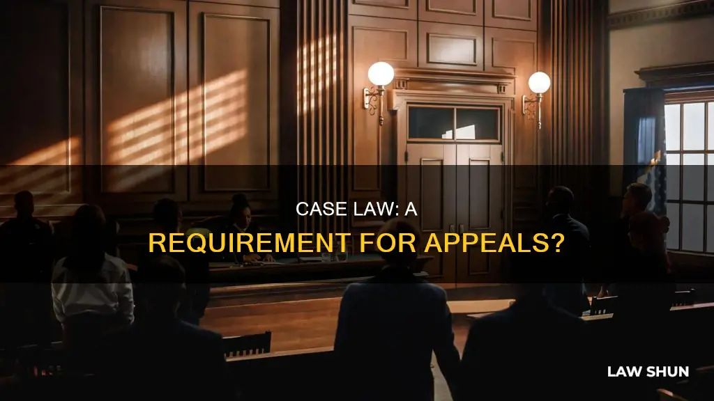 do i have to file case law to file appeal