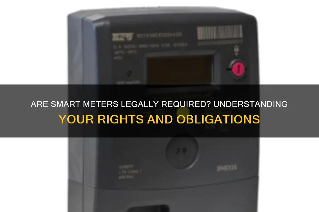 do i have to have a smart meter by law