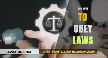 Understanding Legal Obligations: A Guide to Law Compliance
