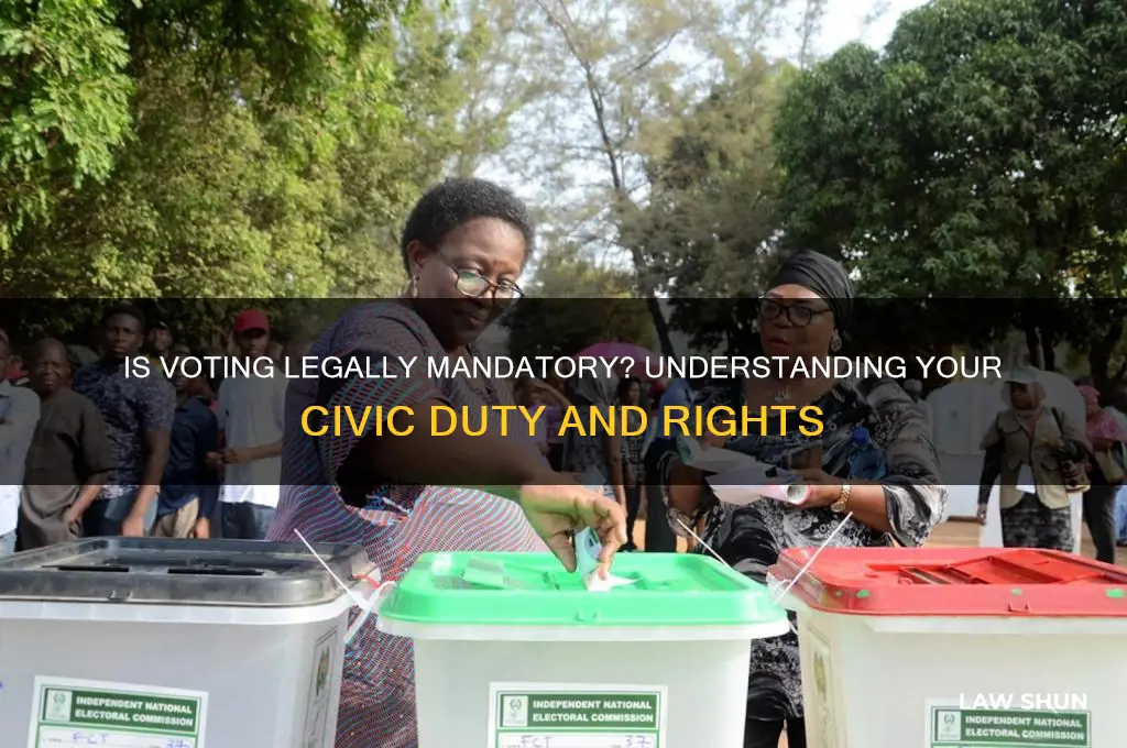 do i have to vote by law