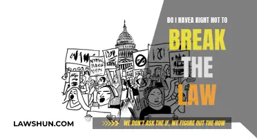 Breaking the Law: Your Rights and Freedoms