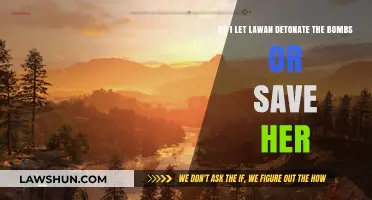 Save Lawan or Stop the Bombs: A Moral Dilemma Explored