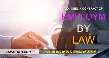 Employment Contracts: Are They Legally Necessary?